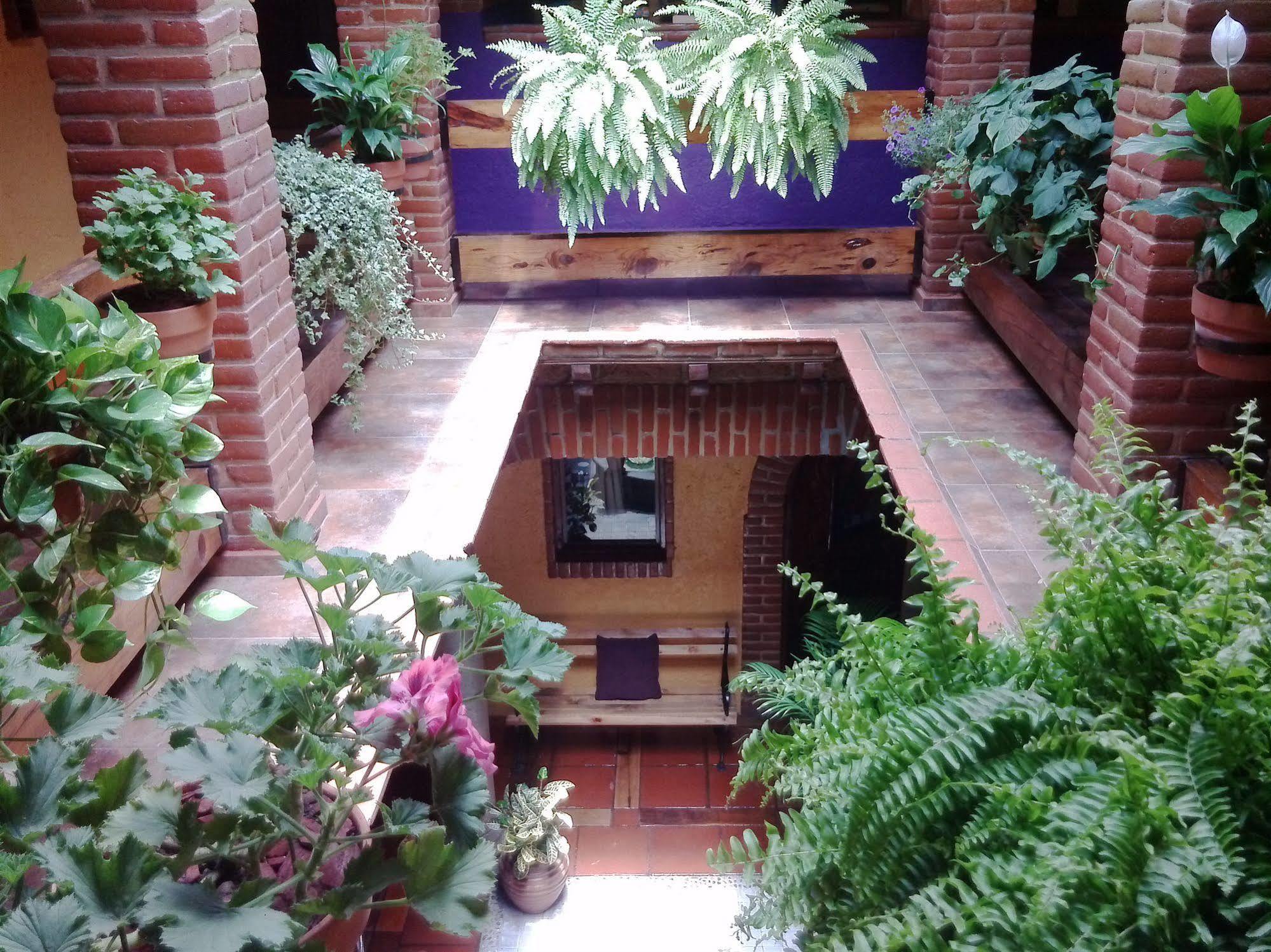 Mex Suites Casa Azul B&B เม็กซิโกซิตี้ ภายนอก รูปภาพ